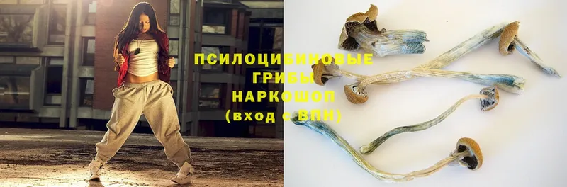 мега как войти  дарнет шоп  Беслан  Галлюциногенные грибы Magic Shrooms 